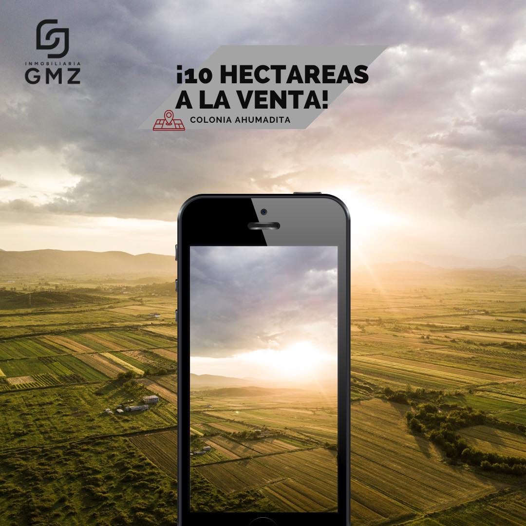 10 Hectáreas en venta